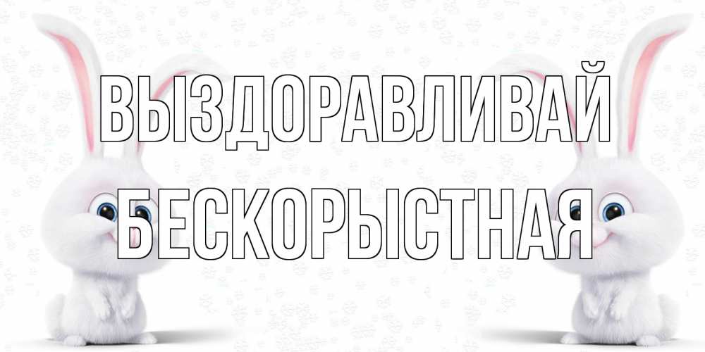 Открытка на каждый день с именем, Бескорыстная Выздоравливай не болей с зайцем Прикольная открытка с пожеланием онлайн скачать бесплатно 