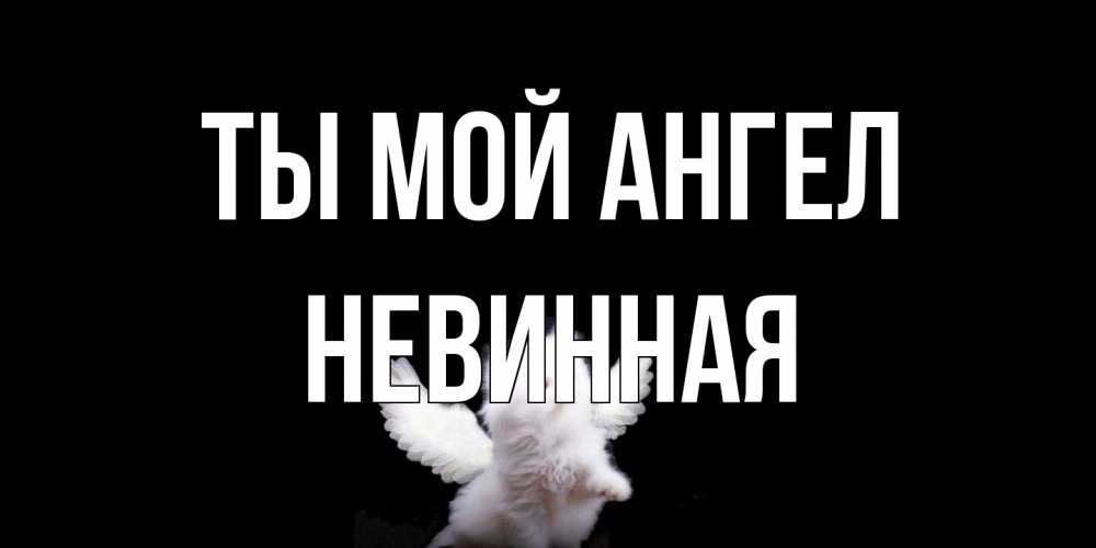 Открытка на каждый день с именем, невинная Ты мой ангел Кот ангел Прикольная открытка с пожеланием онлайн скачать бесплатно 