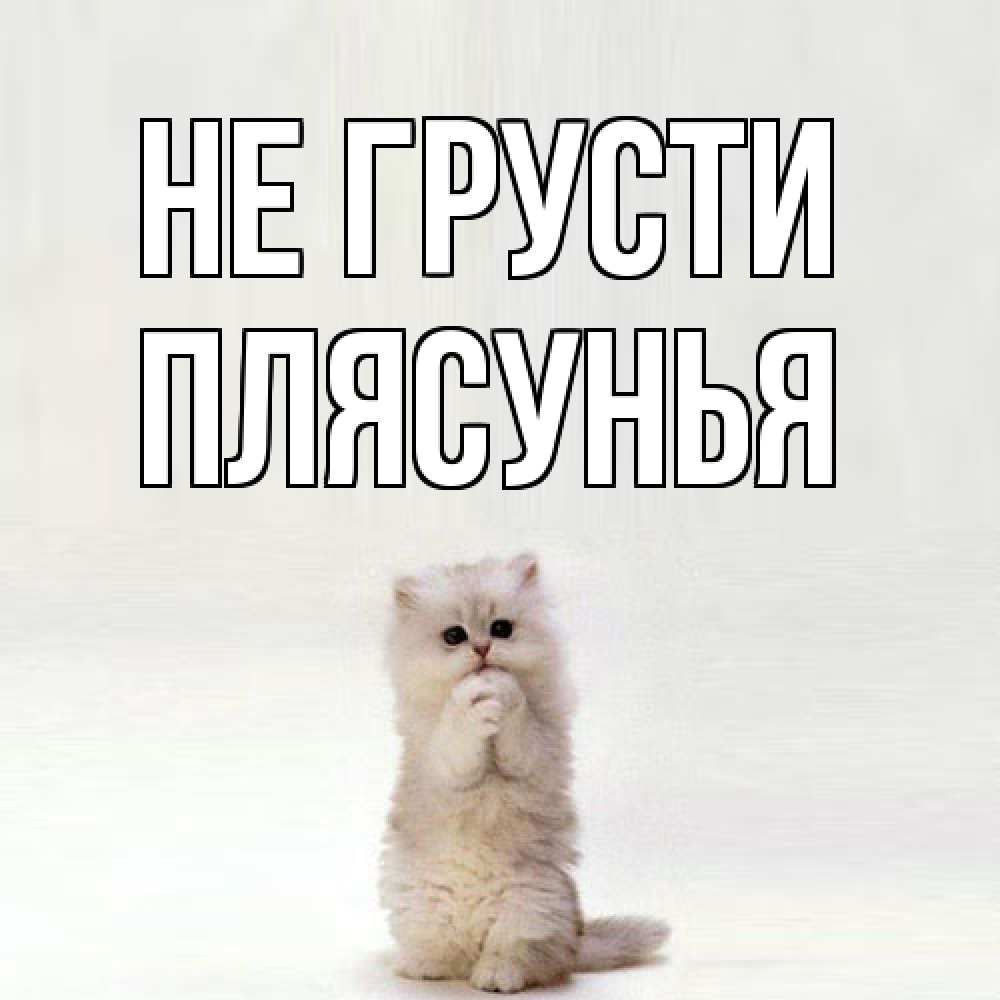Открытка на каждый день с именем, Плясунья Не грусти грустный кот Прикольная открытка с пожеланием онлайн скачать бесплатно 