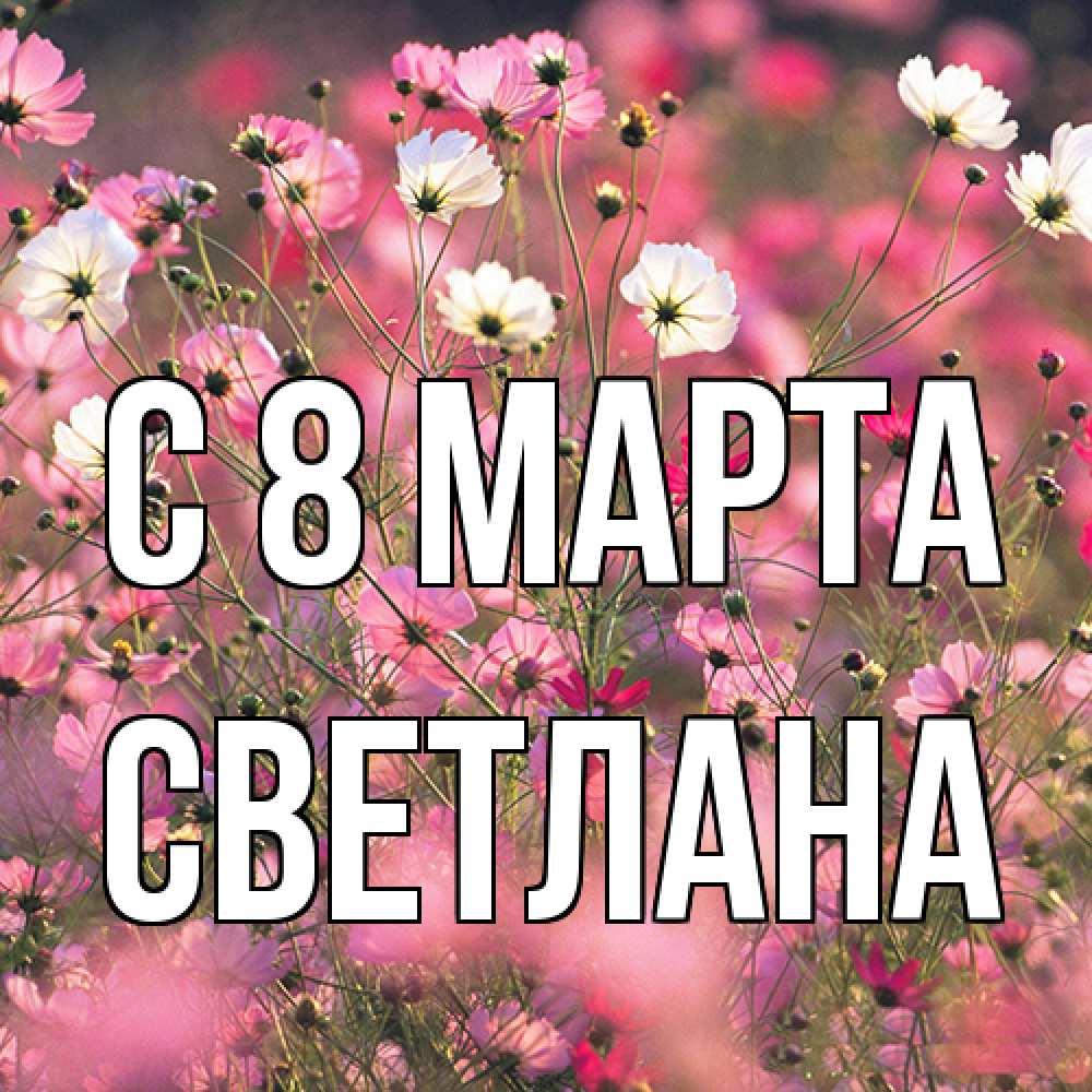 Открытка на каждый день с именем, Светлана C 8 МАРТА красиво 1 Прикольная открытка с пожеланием онлайн скачать бесплатно 