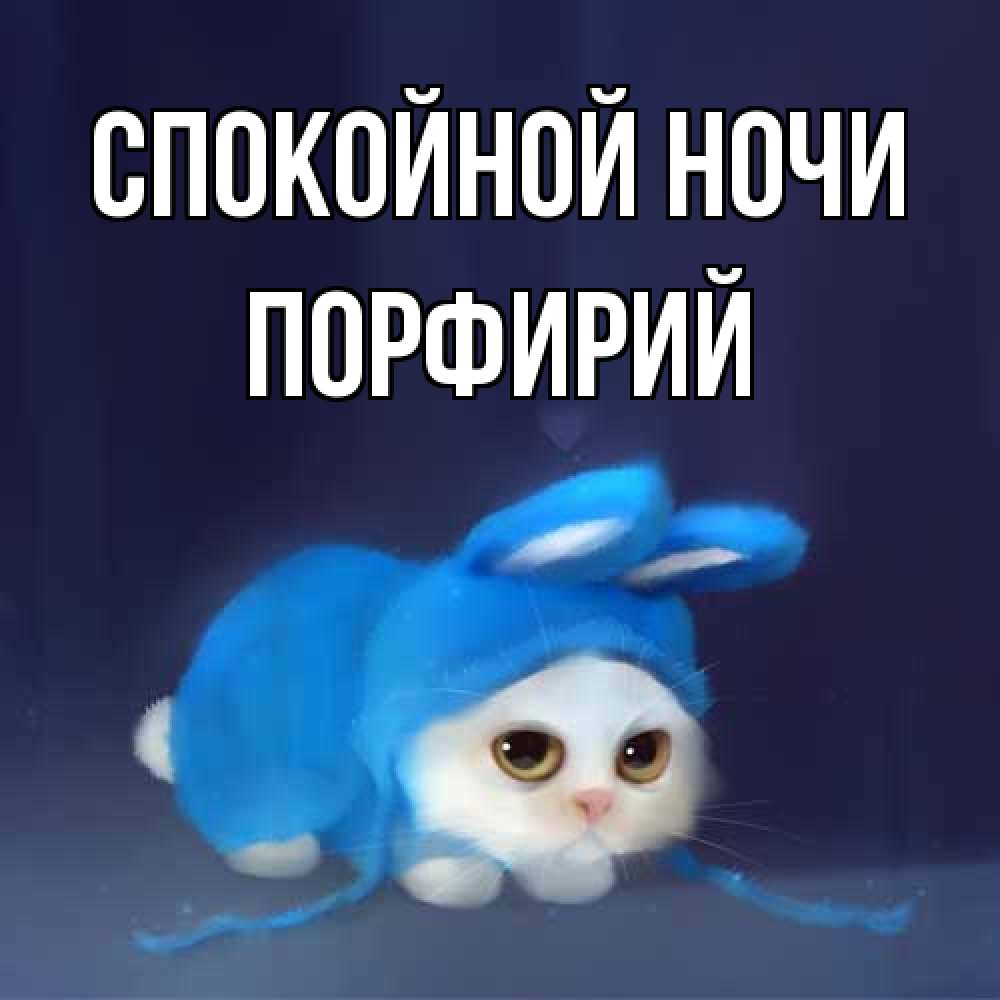 Открытка на каждый день с именем, Порфирий Спокойной ночи кот в голубом костюме кролика с ушками Прикольная открытка с пожеланием онлайн скачать бесплатно 