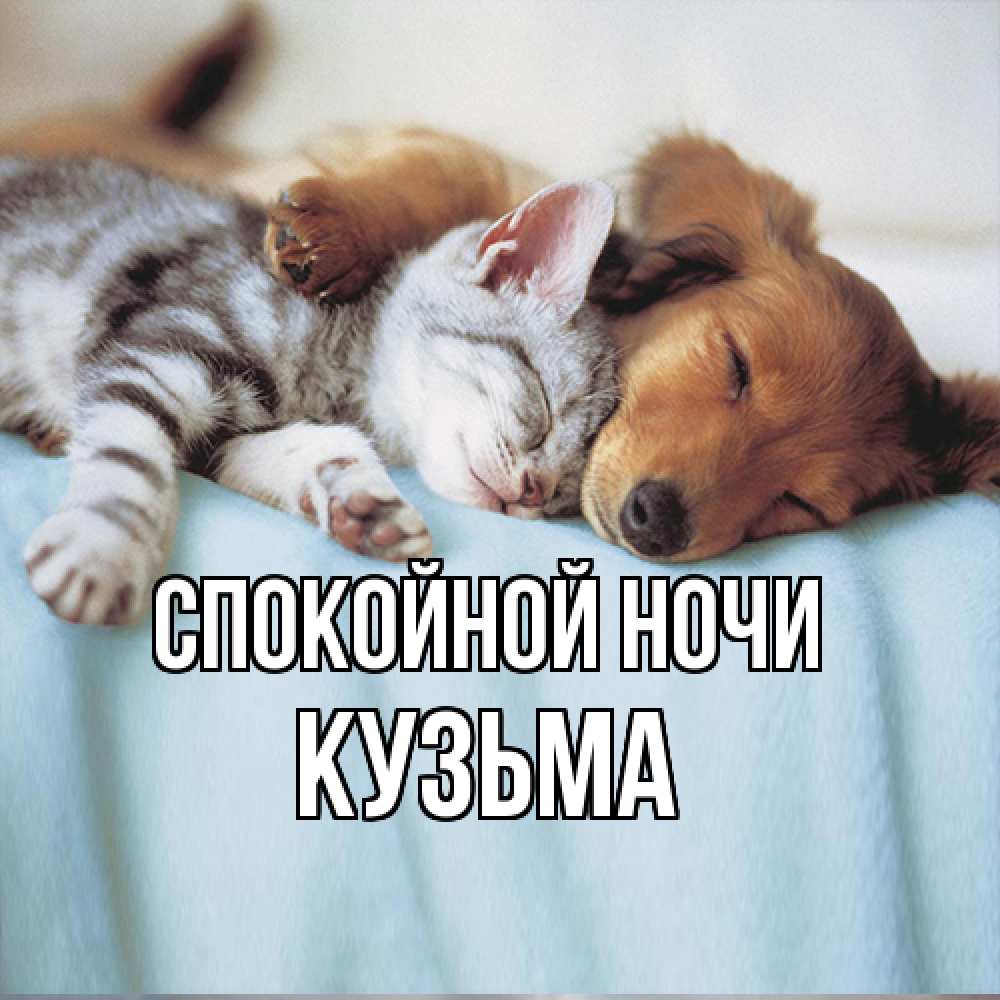 Открытка на каждый день с именем, Кузьма Спокойной ночи с животными Прикольная открытка с пожеланием онлайн скачать бесплатно 