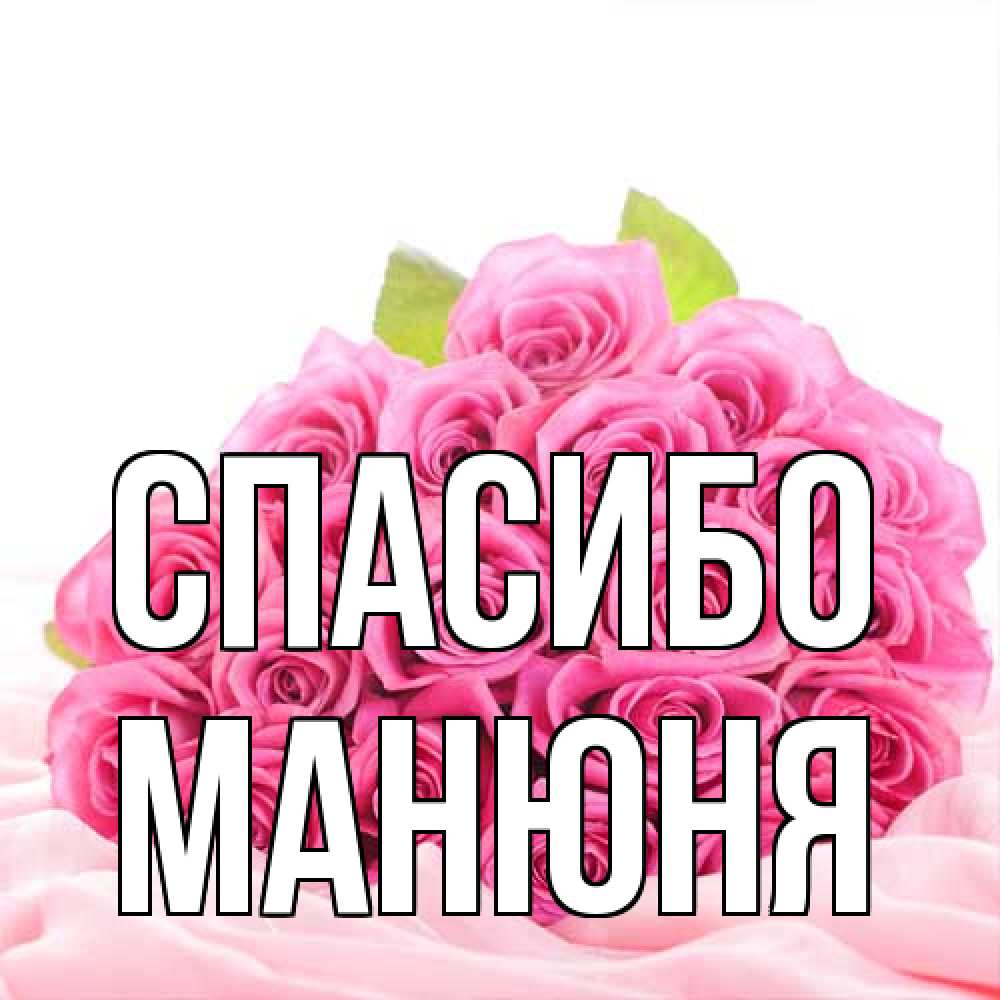 Открытка на каждый день с именем, Манюня Спасибо розовые розы с подписью Прикольная открытка с пожеланием онлайн скачать бесплатно 