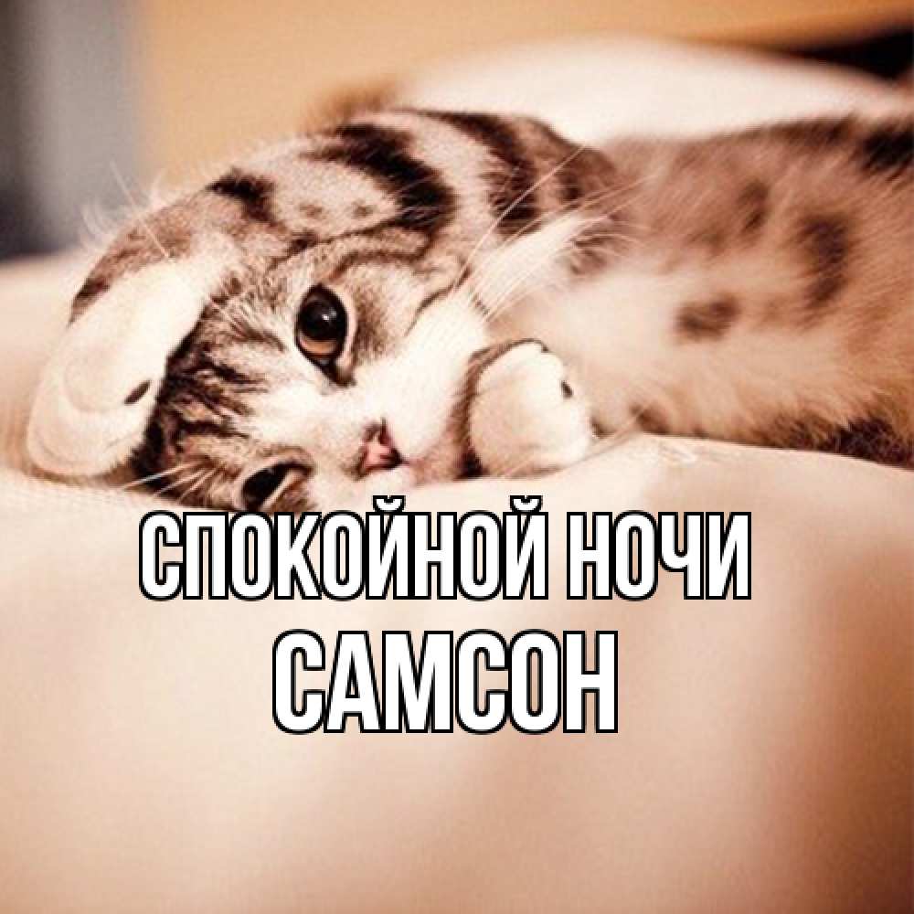 Открытка на каждый день с именем, Самсон Спокойной ночи сладких снов с животными Прикольная открытка с пожеланием онлайн скачать бесплатно 