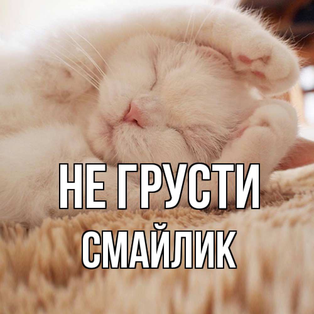 Открытка на каждый день с именем, Смайлик Не грусти белый кот Прикольная открытка с пожеланием онлайн скачать бесплатно 