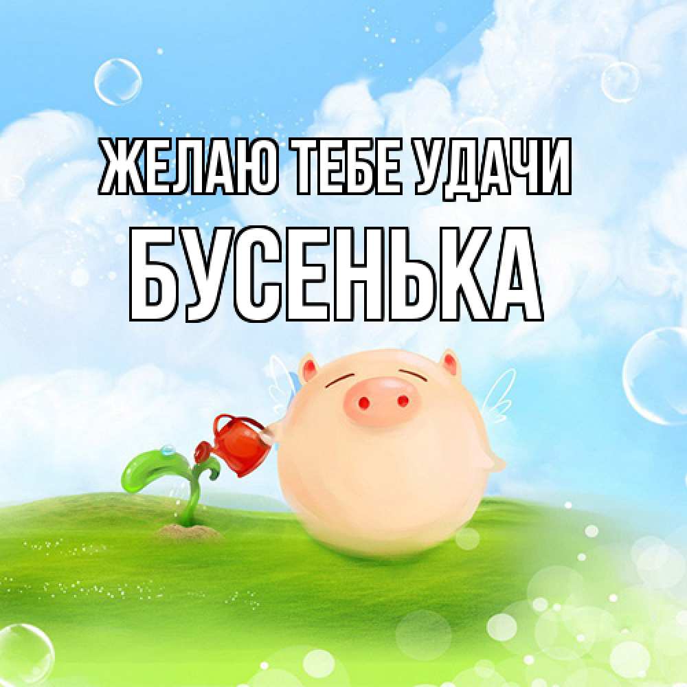 Открытка на каждый день с именем, бусенька Желаю тебе удачи поросенок поливает цветок. летнее настроение Прикольная открытка с пожеланием онлайн скачать бесплатно 