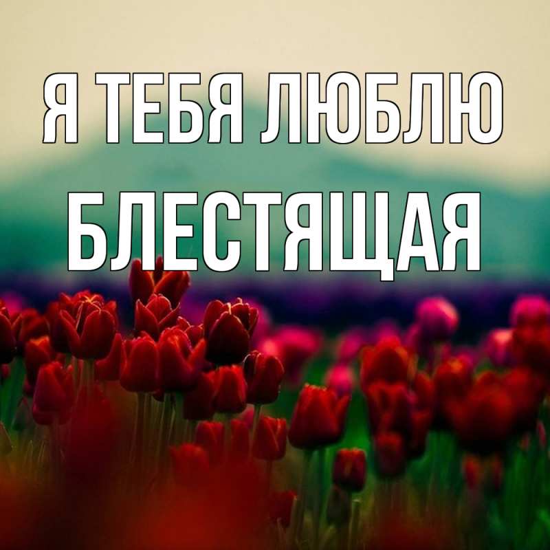 Картинка Я тебя люблю, блестящая