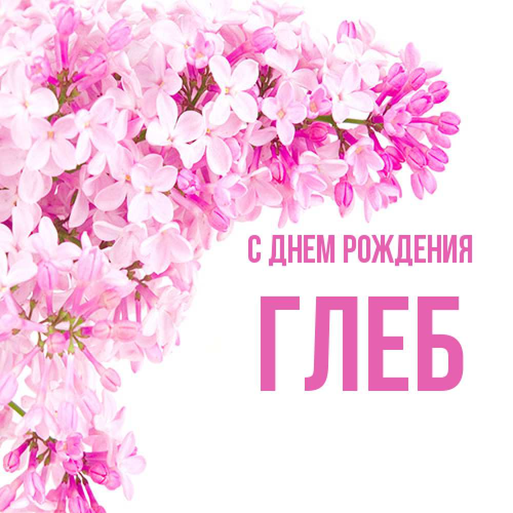 Открытка на каждый день с именем, Глеб С днем рождения Сирень на белом фоне Прикольная открытка с пожеланием онлайн скачать бесплатно 