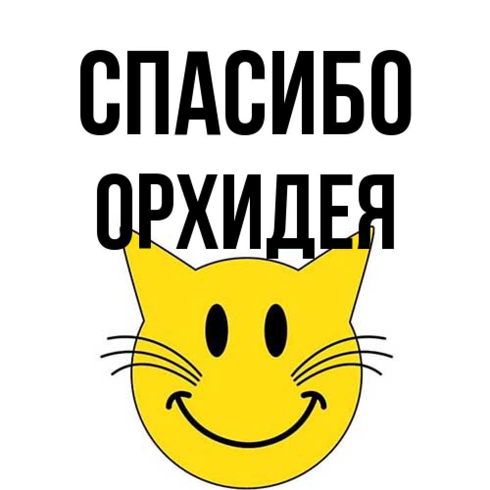 Открытка на каждый день с именем, Орхидея Спасибо улыбающийся смайл кот Прикольная открытка с пожеланием онлайн скачать бесплатно 