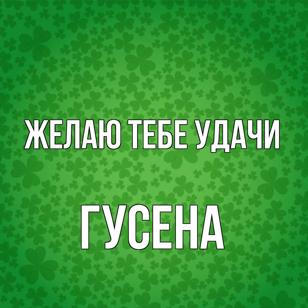 Открытка на каждый день с именем, гусена Желаю тебе удачи много листочков на удачу Прикольная открытка с пожеланием онлайн скачать бесплатно 