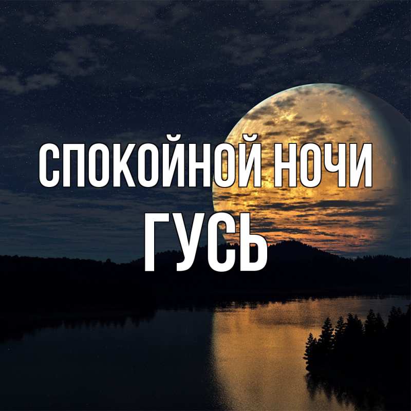 Картинка Спокойной ночи, Гусь