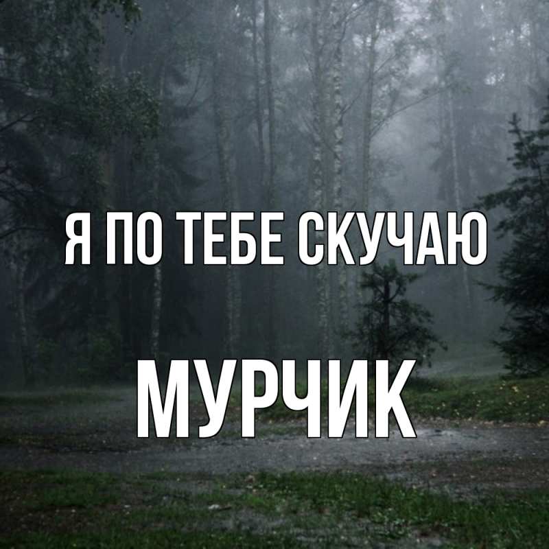 Картинка Я по тебе скучаю, Мурчик