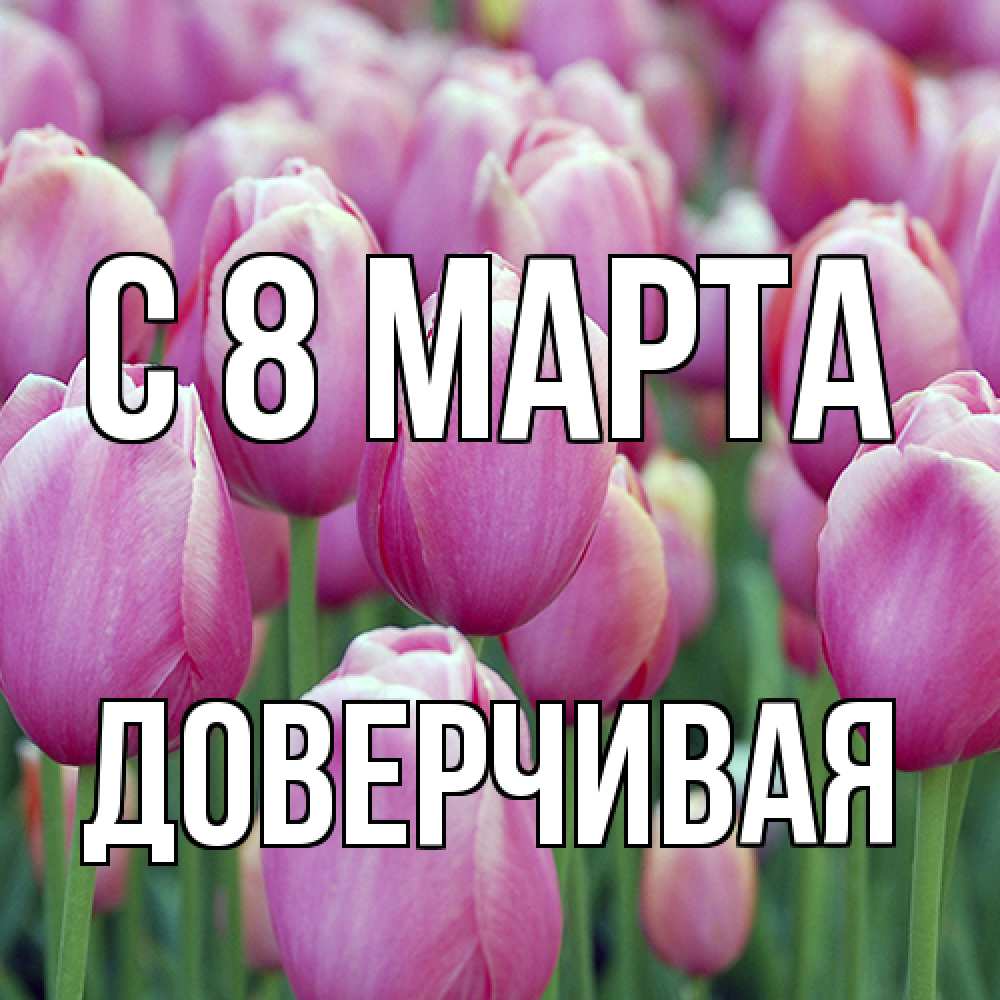 Открытка на каждый день с именем, Доверчивая C 8 МАРТА на международный женский день 3 Прикольная открытка с пожеланием онлайн скачать бесплатно 