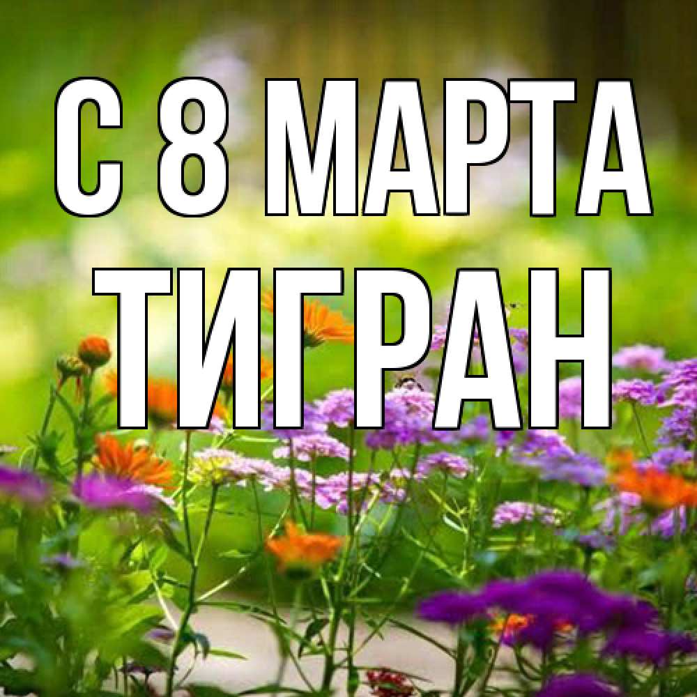 Открытка на каждый день с именем, Тигран C 8 МАРТА цветы Прикольная открытка с пожеланием онлайн скачать бесплатно 