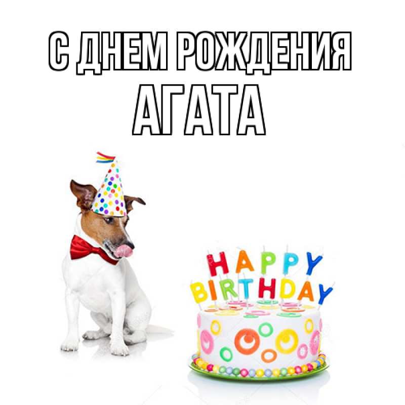 Картинка С днем рождения, Агата