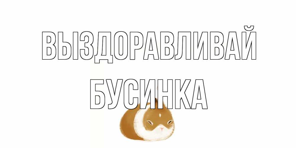 Открытка на каждый день с именем, Бусинка Выздоравливай морская свинка на открытке с пожеланиями не болеть Прикольная открытка с пожеланием онлайн скачать бесплатно 