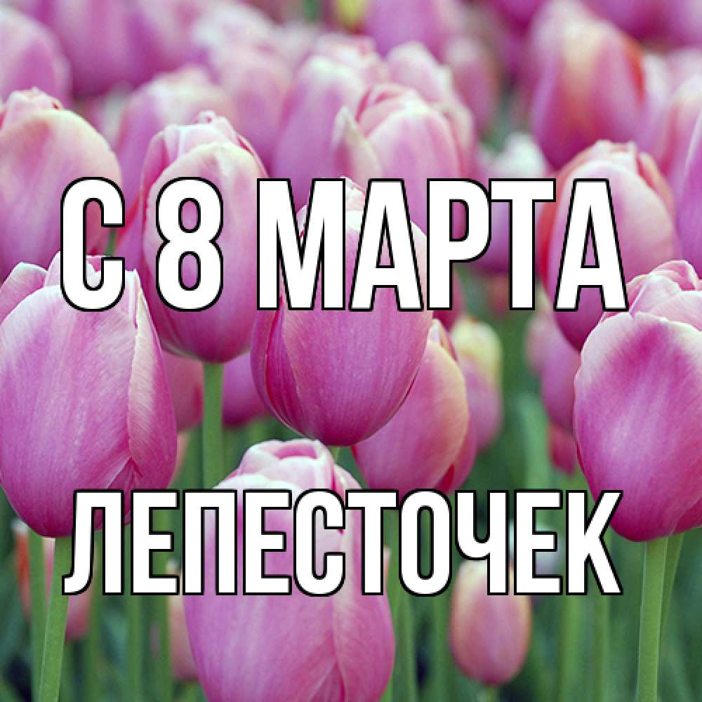 Открытка на каждый день с именем, Лепесточек C 8 МАРТА на международный женский день 3 Прикольная открытка с пожеланием онлайн скачать бесплатно 