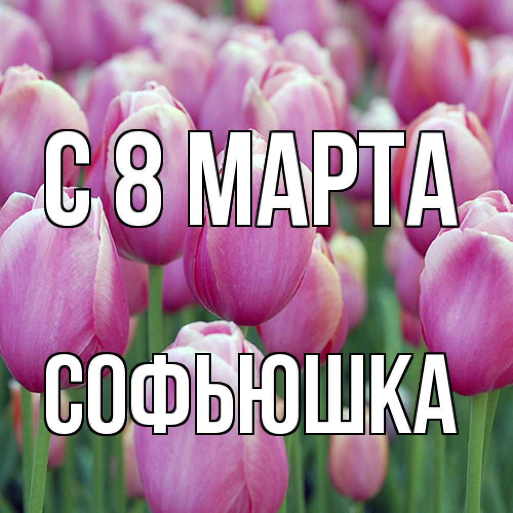 Открытка на каждый день с именем, Софьюшка C 8 МАРТА на международный женский день 3 Прикольная открытка с пожеланием онлайн скачать бесплатно 