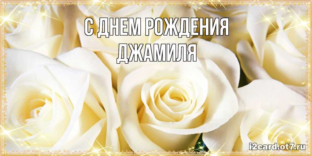 Открытка на каждый день с именем, Джамиля С днем рождения розочки белого цвета на открытке Прикольная открытка с пожеланием онлайн скачать бесплатно 
