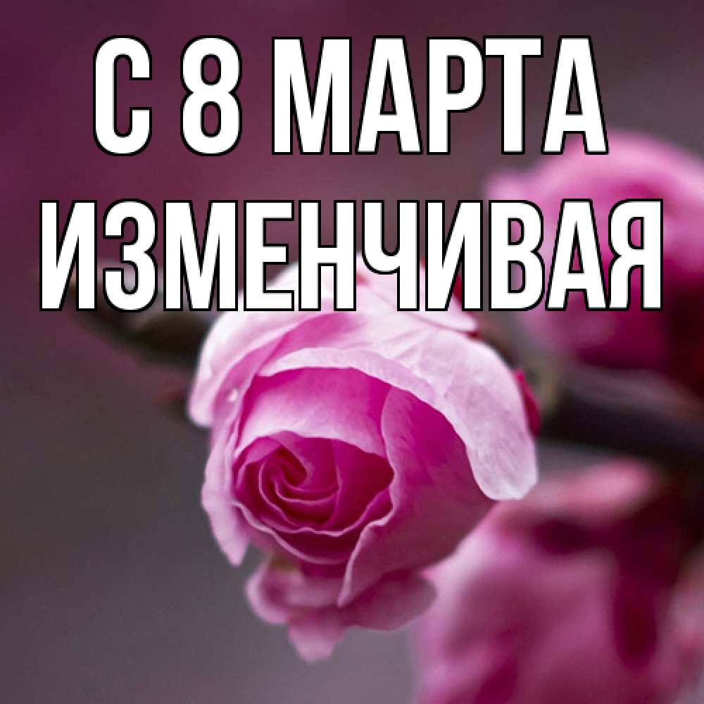 Открытка на каждый день с именем, изменчивая C 8 МАРТА весна Прикольная открытка с пожеланием онлайн скачать бесплатно 