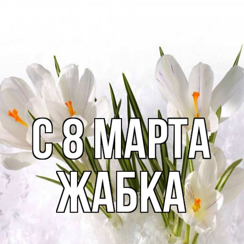 Картинка C 8 МАРТА, Жабка