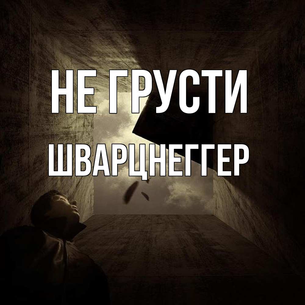 Открытка на каждый день с именем, Шварцнеггер Не грусти жуть Прикольная открытка с пожеланием онлайн скачать бесплатно 