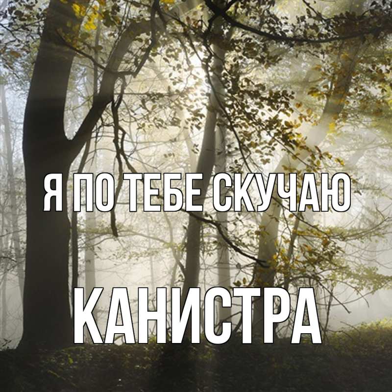 Картинка Я по тебе скучаю, Канистра