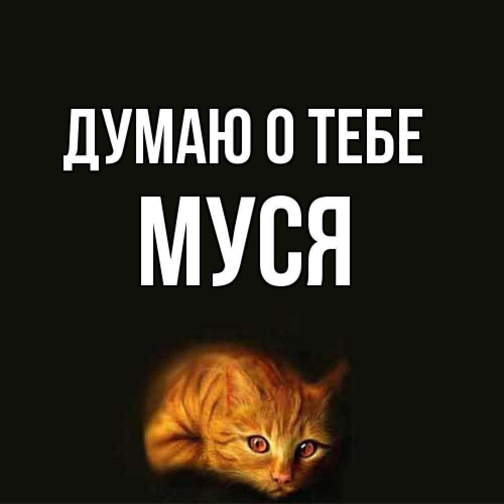 Открытка на каждый день с именем, Муся Думаю о тебе рыжий Прикольная открытка с пожеланием онлайн скачать бесплатно 