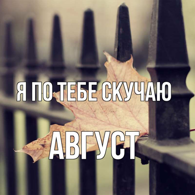 Картинка Я по тебе скучаю, Август