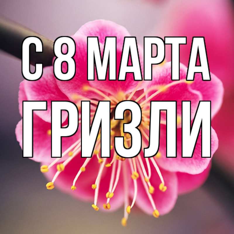 Картинка C 8 МАРТА, Гризли
