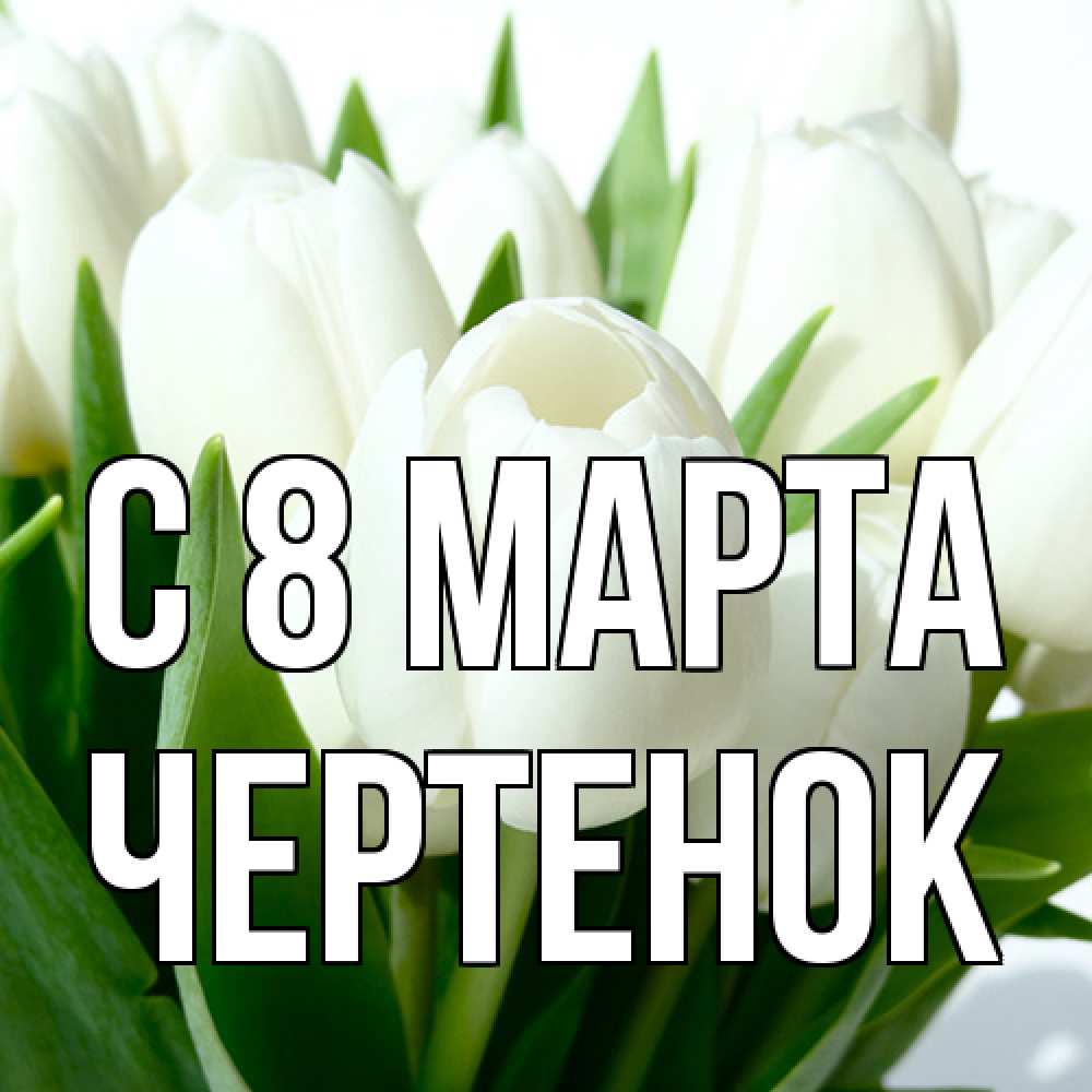 Открытка на каждый день с именем, чеpтенок C 8 МАРТА цветы Прикольная открытка с пожеланием онлайн скачать бесплатно 