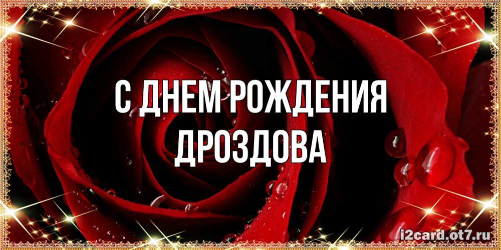 Открытка на каждый день с именем, Дроздова С днем рождения цветок в росе на день рождения Прикольная открытка с пожеланием онлайн скачать бесплатно 