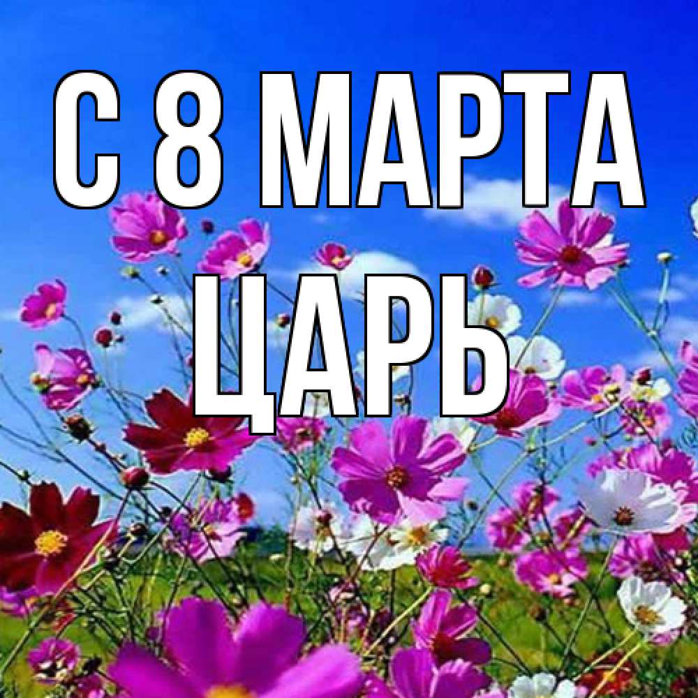 Открытка на каждый день с именем, Царь C 8 МАРТА цветы Прикольная открытка с пожеланием онлайн скачать бесплатно 