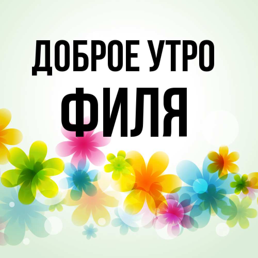 Открытка на каждый день с именем, Филя Доброе утро позитивные цветочки Прикольная открытка с пожеланием онлайн скачать бесплатно 