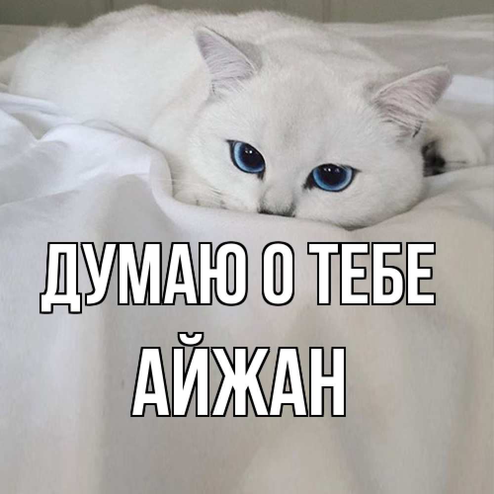 Открытка на каждый день с именем, Айжан Думаю о тебе я очень по тебе скучаю и тоскую Прикольная открытка с пожеланием онлайн скачать бесплатно 