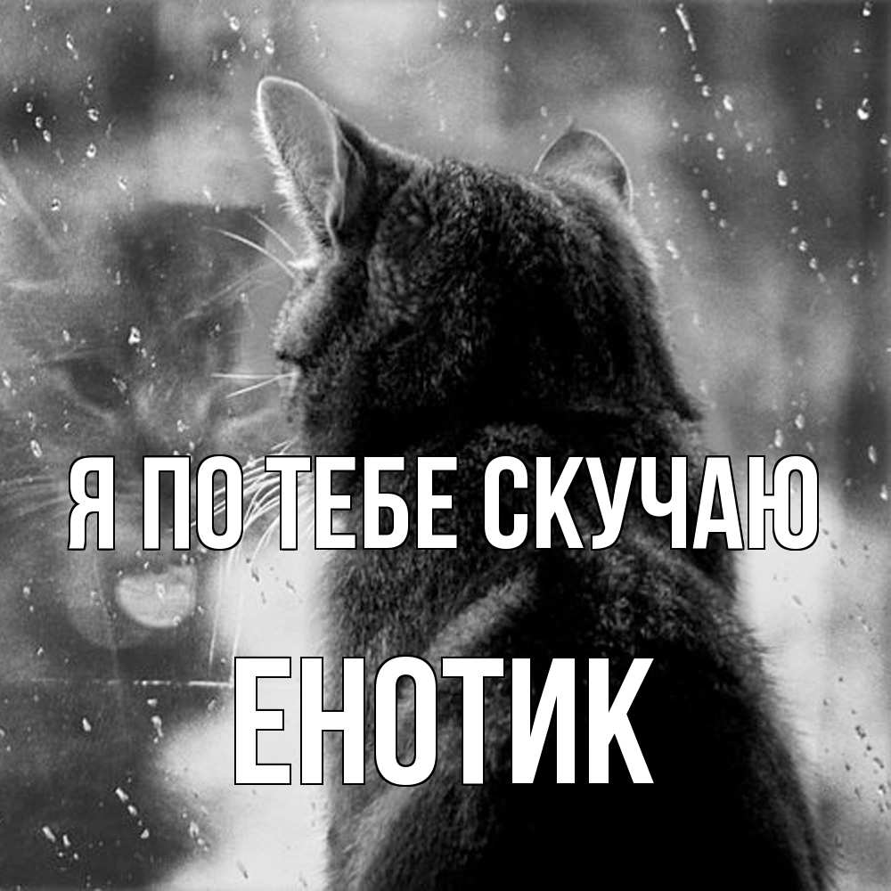 Открытка на каждый день с именем, Енотик Я по тебе скучаю скорее ко мне приходи 1 Прикольная открытка с пожеланием онлайн скачать бесплатно 