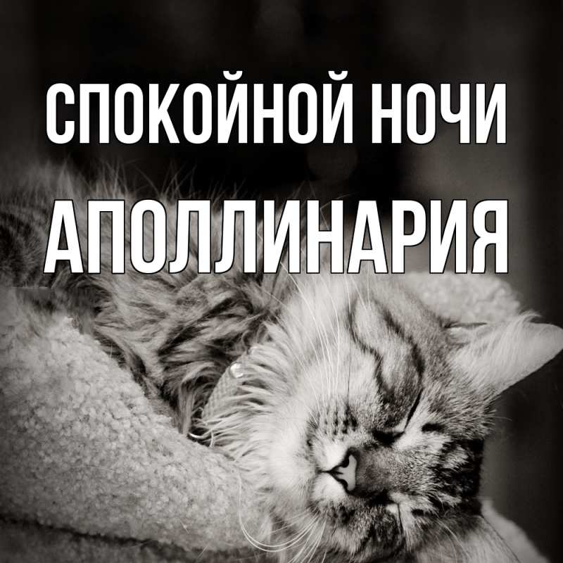 Картинка Спокойной ночи, Аполлинария