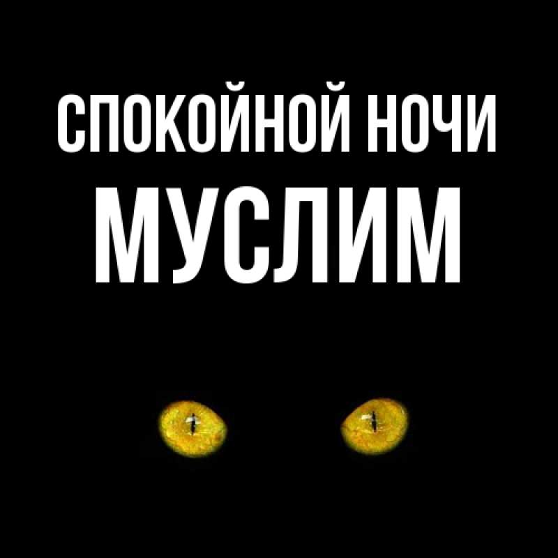 Открытка с именем, Муслим, Спокойной ночи