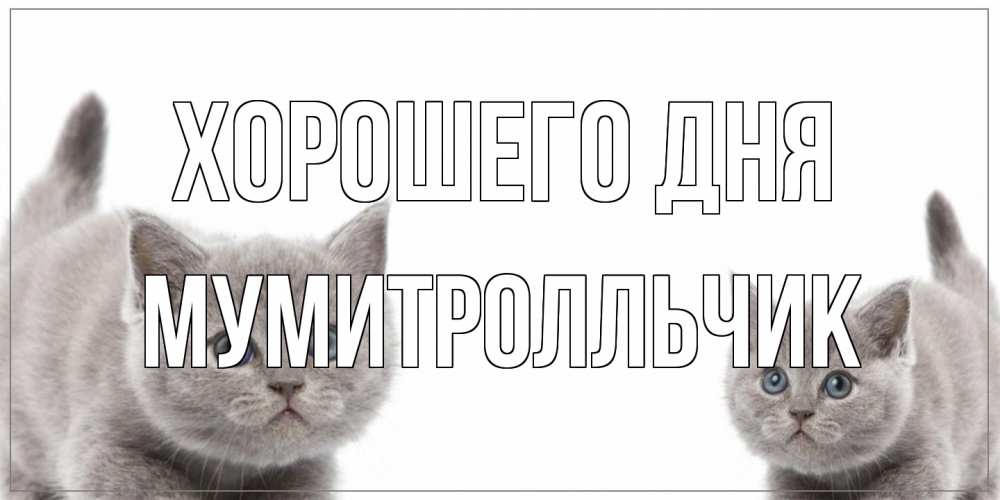 Открытка на каждый день с именем, мумитролльчик Хорошего дня открытка с котами Прикольная открытка с пожеланием онлайн скачать бесплатно 