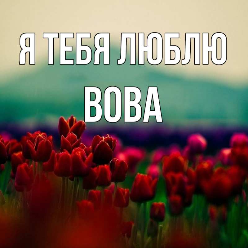 Картинка Я тебя люблю, Вова