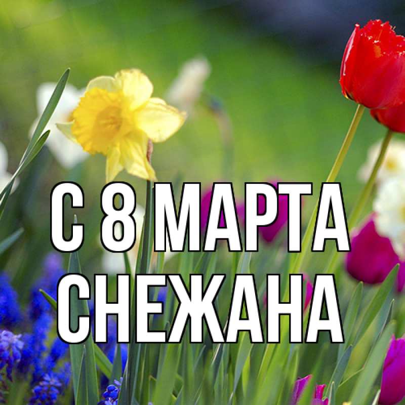 Картинка C 8 МАРТА, Снежана