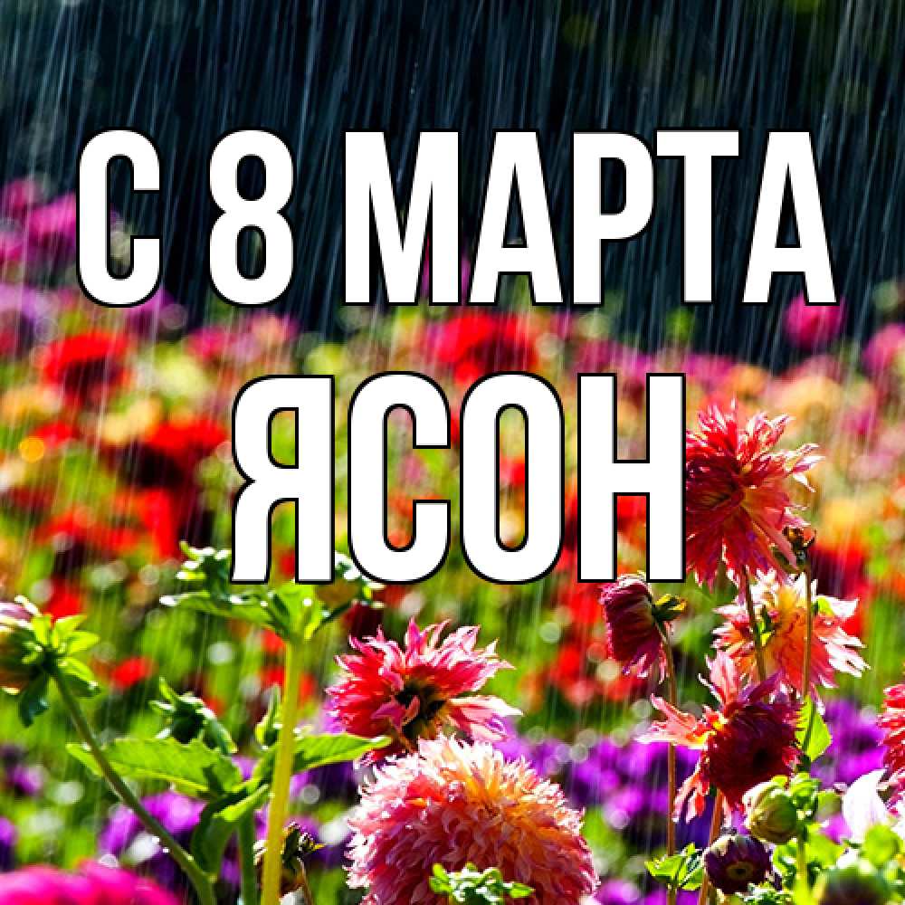 Открытка на каждый день с именем, Ясон C 8 МАРТА цветы под дождиком к международному женскому дню Прикольная открытка с пожеланием онлайн скачать бесплатно 