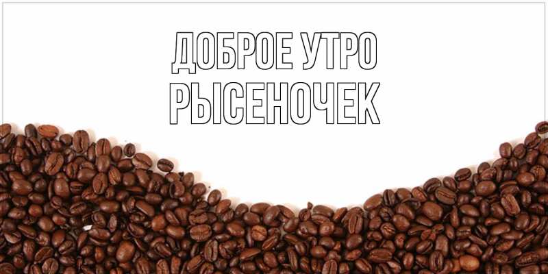 Картинка Доброе утро, Рысеночек