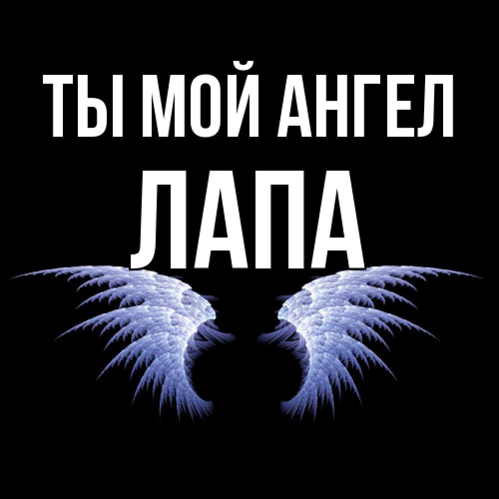 Открытка на каждый день с именем, Лапа Ты мой ангел ангельские крылья на черном фоне Прикольная открытка с пожеланием онлайн скачать бесплатно 