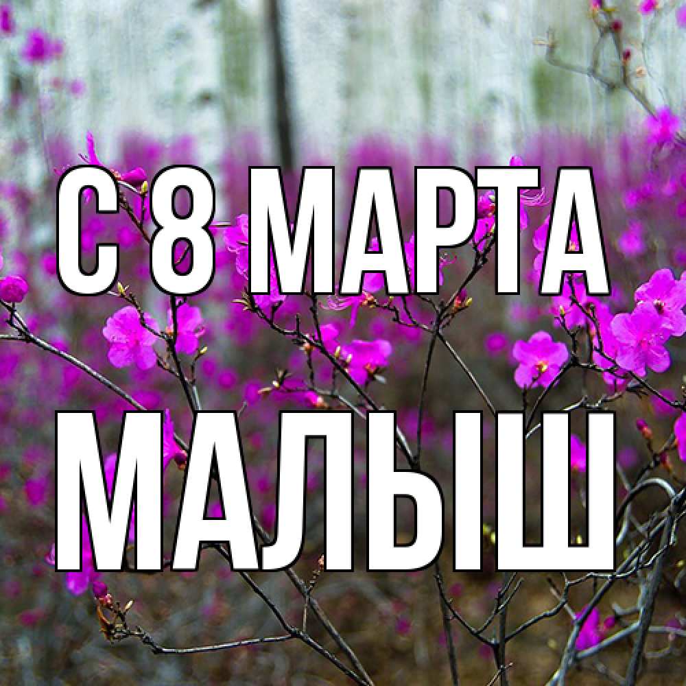 Открытка на каждый день с именем, Малыш C 8 МАРТА дикие цветы Прикольная открытка с пожеланием онлайн скачать бесплатно 