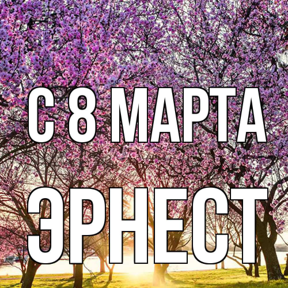 Открытка на каждый день с именем, Эрнест C 8 МАРТА международный женский день Прикольная открытка с пожеланием онлайн скачать бесплатно 