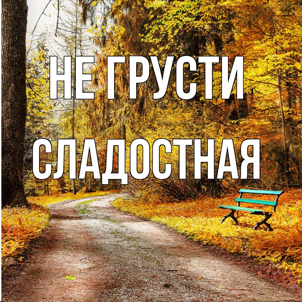 Открытка на каждый день с именем, Сладостная Не грусти зеленая лавочка Прикольная открытка с пожеланием онлайн скачать бесплатно 