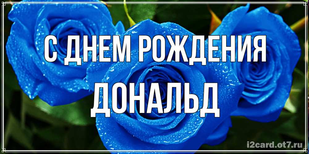 Открытка на каждый день с именем, Дональд С днем рождения розы с синим цветом Прикольная открытка с пожеланием онлайн скачать бесплатно 