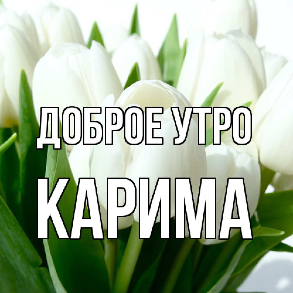 Открытка на каждый день с именем, Карима Доброе утро открытки на каждый день по именам Прикольная открытка с пожеланием онлайн скачать бесплатно 