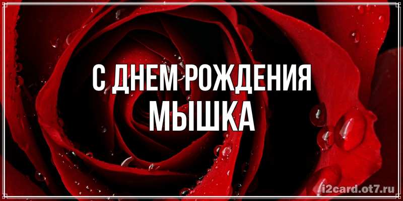 Картинка С днем рождения, Мышка